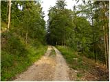 Podkraj / Unterort - Alpengasthof Siebenhütten